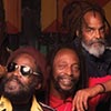 The Wailers