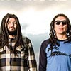 Tribal Seeds